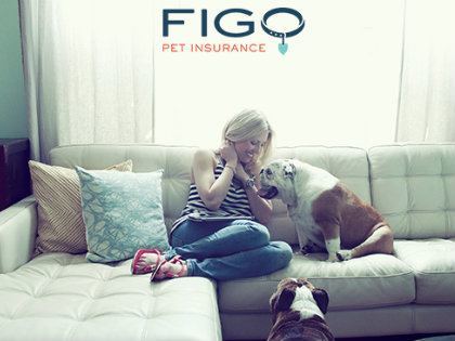 figo-petinsurance